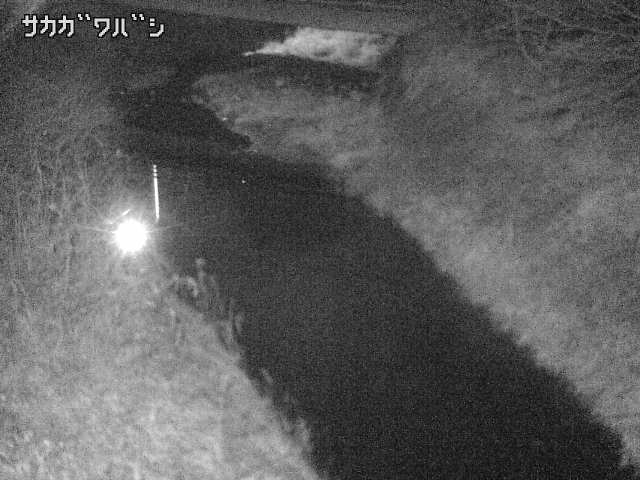 2026年02月04日03時00分の映像