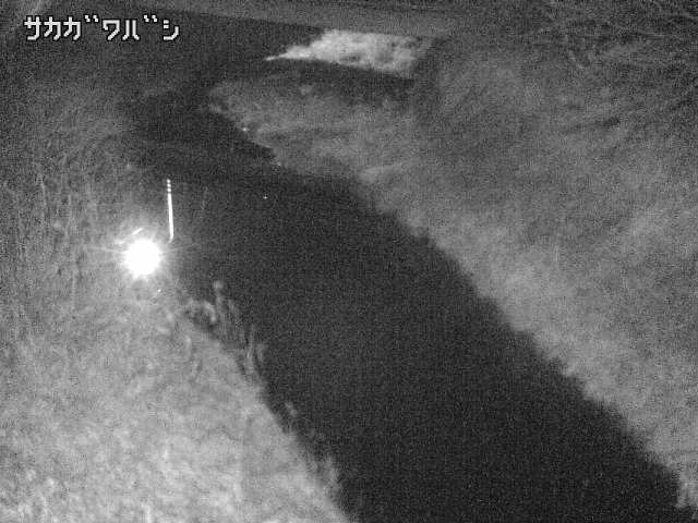 2026年02月04日04時00分の映像