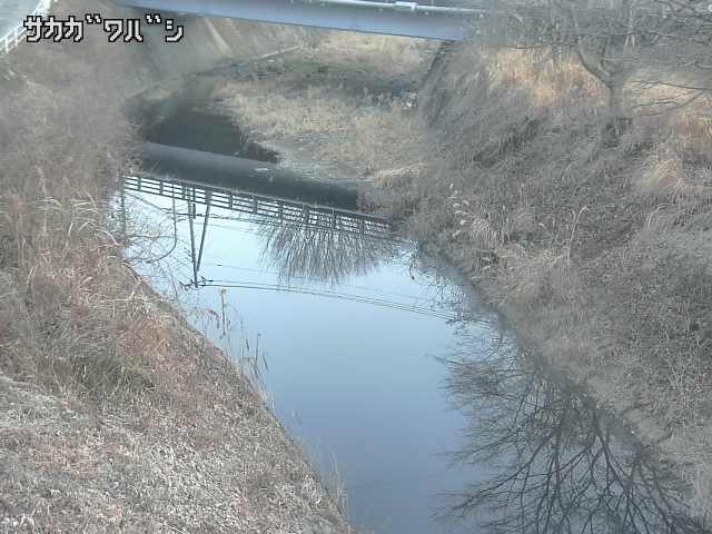 2026年02月04日07時00分の映像