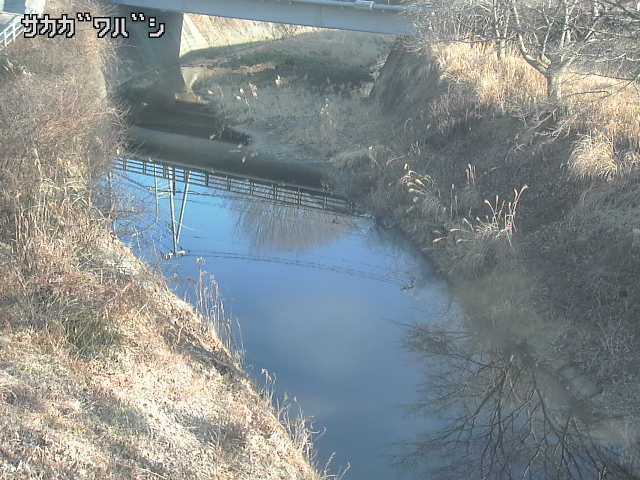 2026年02月04日08時00分の映像