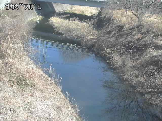 2026年02月04日10時00分の映像