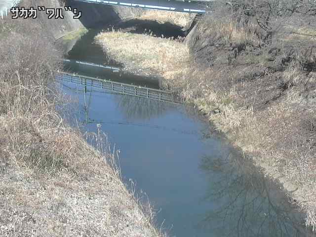 2026年02月04日12時00分の映像