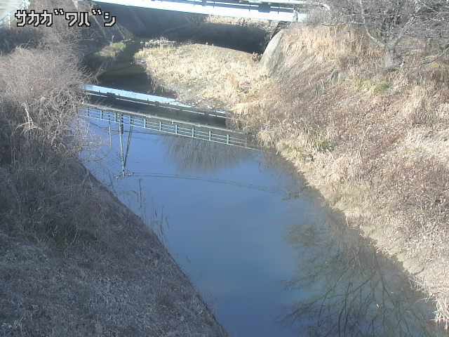 2026年02月04日14時00分の映像