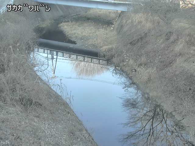 2026年02月04日15時00分の映像