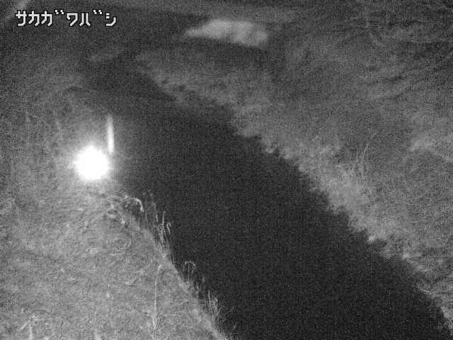 2026年03月20日21時00分の映像