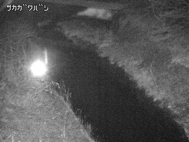 2026年03月20日23時00分の映像