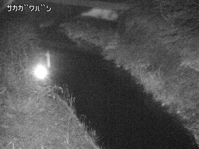 2026年03月21日00時00分の映像