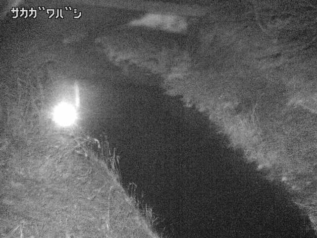 2026年03月21日01時00分の映像