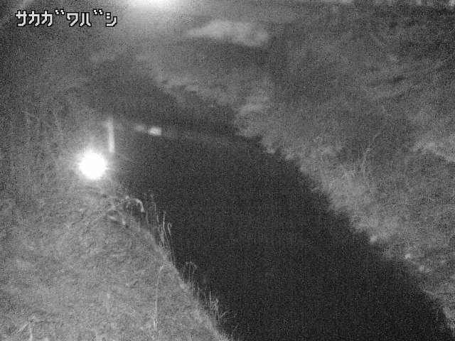 2026年03月21日03時00分の映像