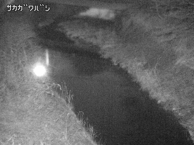 2026年03月21日05時00分の映像