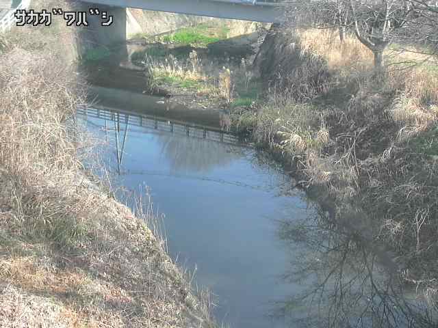 2026年03月21日08時00分の映像