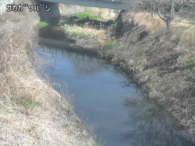 2026年03月21日09時00分の映像