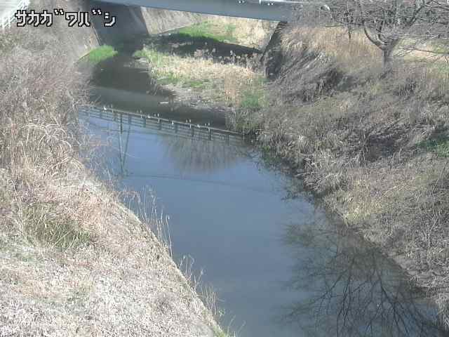 2026年03月21日10時00分の映像