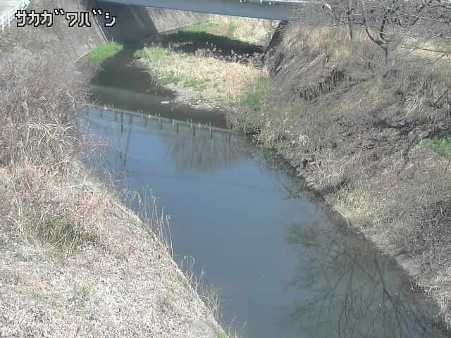 2026年03月21日11時00分の映像