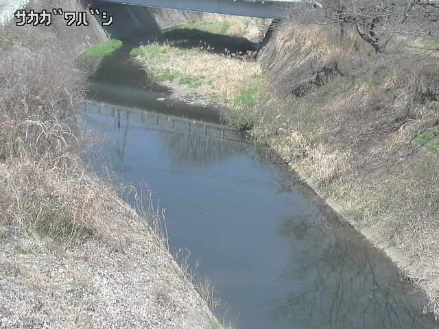 2026年03月21日12時00分の映像