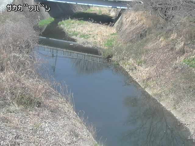 2026年03月21日13時00分の映像