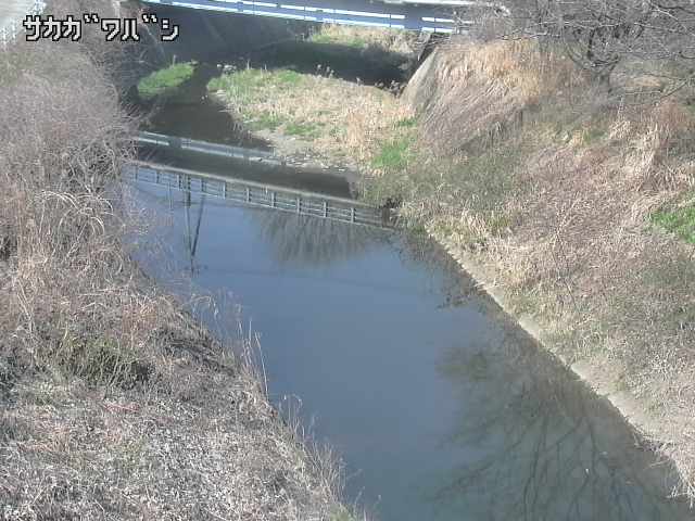 2026年03月21日14時00分の映像