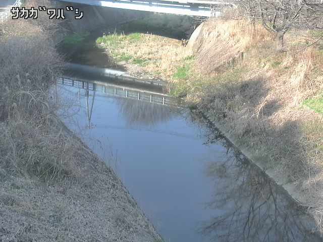 2026年03月21日15時00分の映像