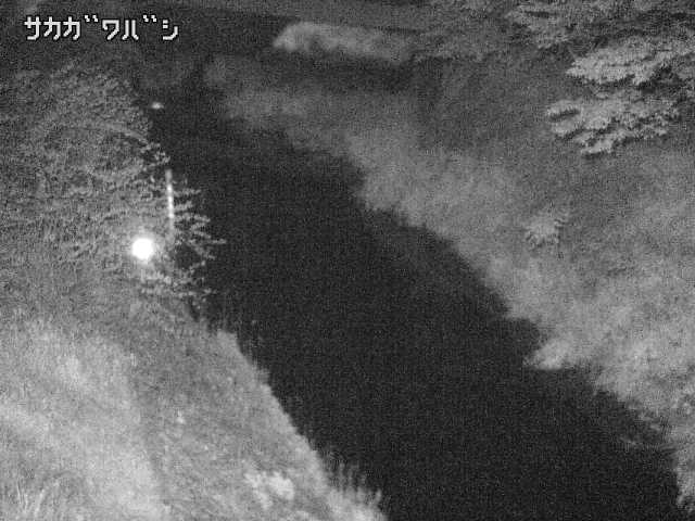 2026年05月05日22時00分の映像
