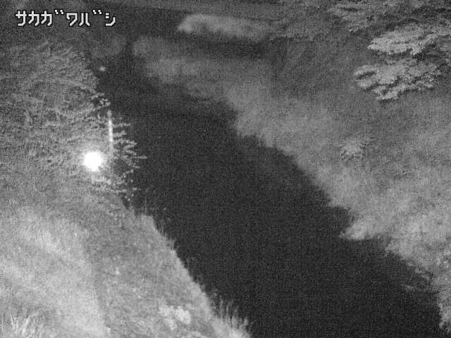 2026年05月06日02時00分の映像