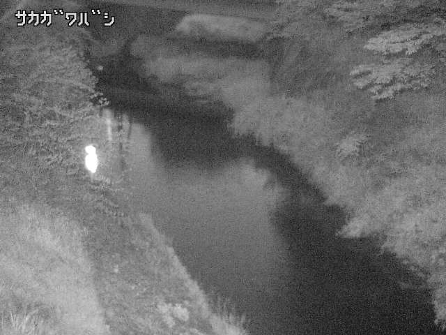2026年05月06日04時00分の映像