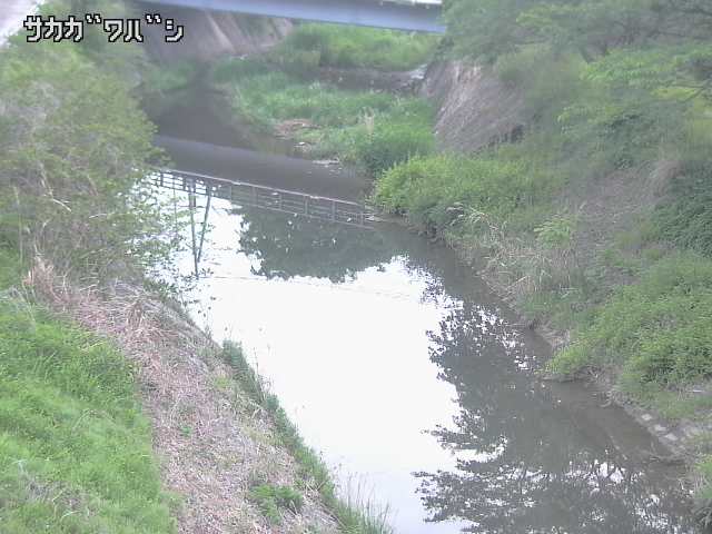 2026年05月06日05時00分の映像