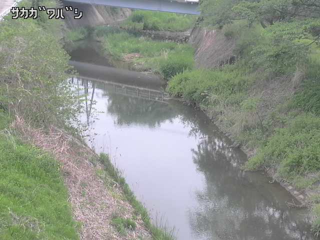 2026年05月06日08時00分の映像