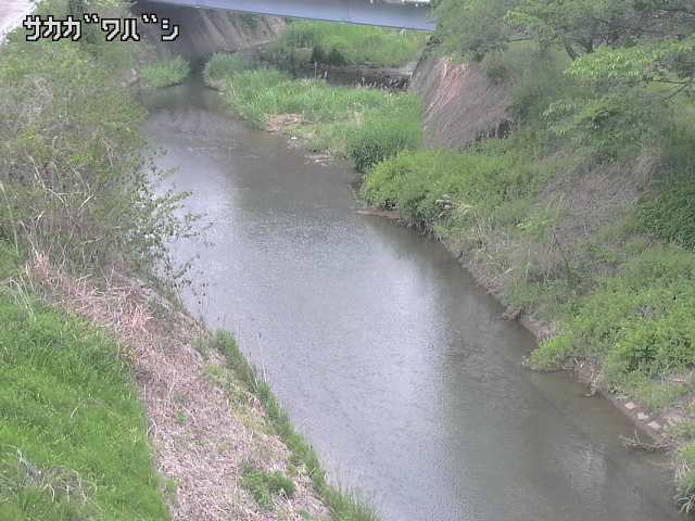 2026年05月06日11時00分の映像