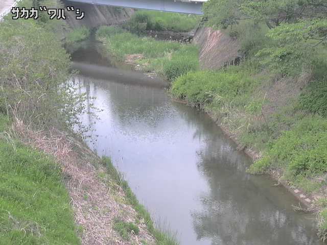 2026年05月06日13時00分の映像