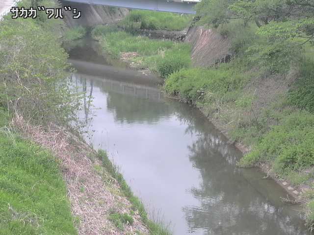 2026年05月06日14時00分の映像
