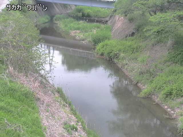 2026年05月06日16時00分の映像