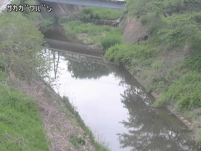 2026年05月06日17時00分の映像