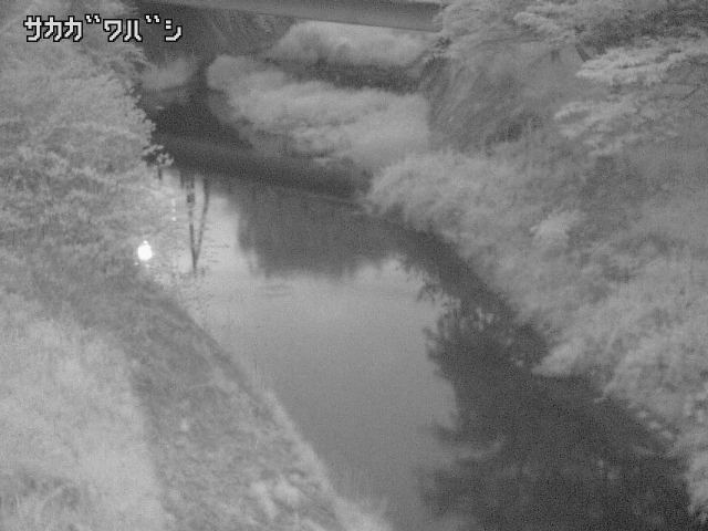 2026年05月06日19時00分の映像