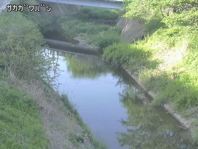 2026年05月10日16時00分の映像