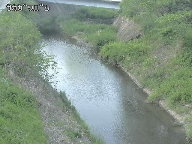 2026年05月10日17時00分の映像