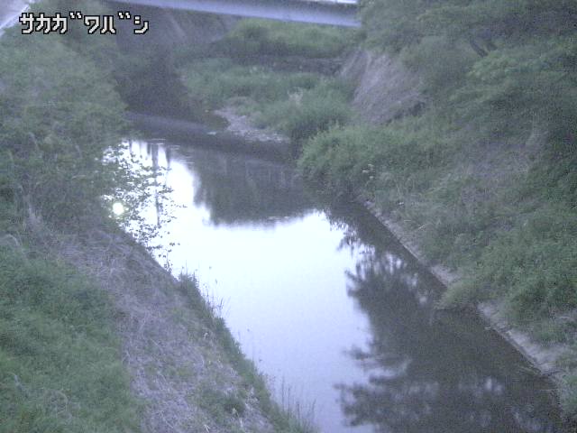 2026年05月10日19時00分の映像