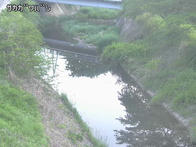2026年05月11日05時00分の映像