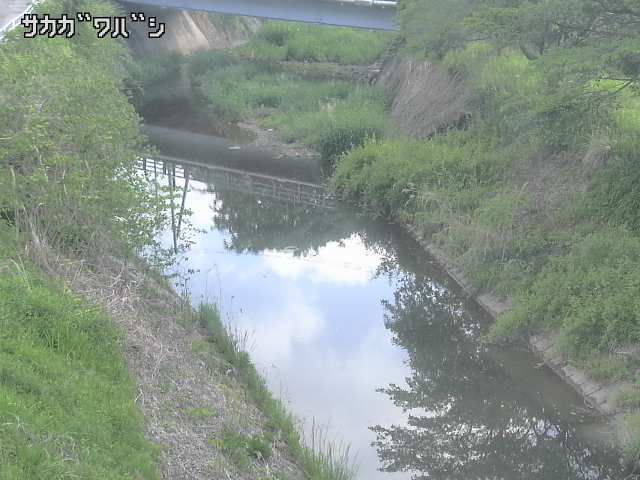 2026年05月11日07時00分の映像