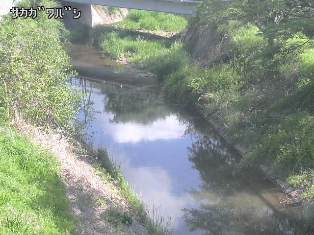 2026年05月11日08時00分の映像