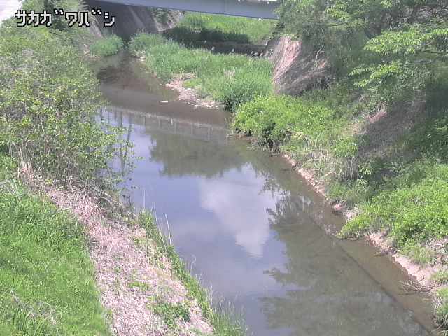 2026年05月11日12時00分の映像
