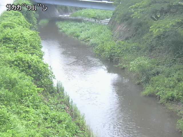 2026年06月21日05時00分の映像