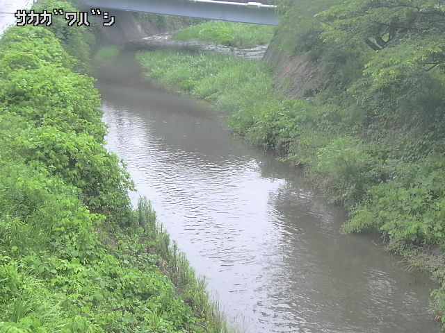 2026年06月21日06時00分の映像