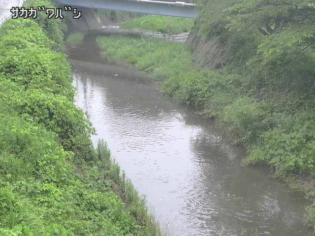 2026年06月21日07時00分の映像