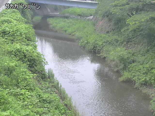 2026年06月21日11時00分の映像