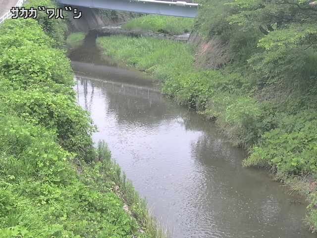 2026年06月21日12時00分の映像