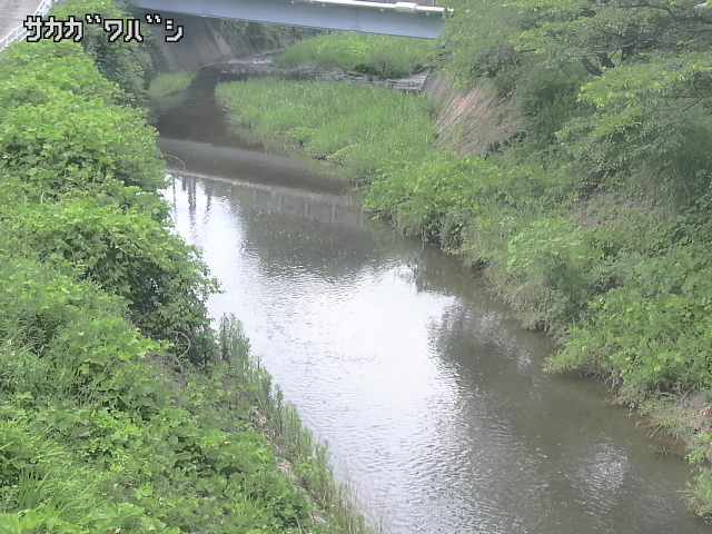 2026年06月21日14時00分の映像
