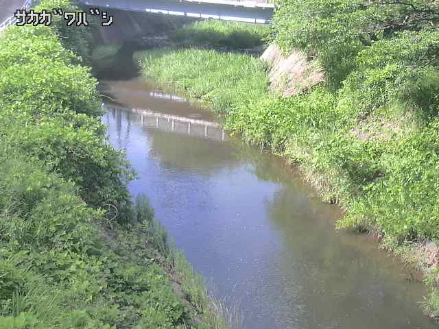 2026年06月21日15時00分の映像