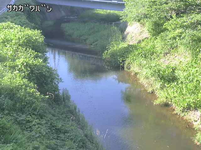 2026年06月21日16時00分の映像