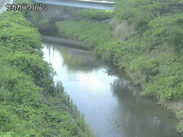 2026年06月21日17時00分の映像