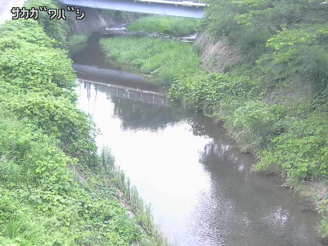 2026年06月21日18時00分の映像